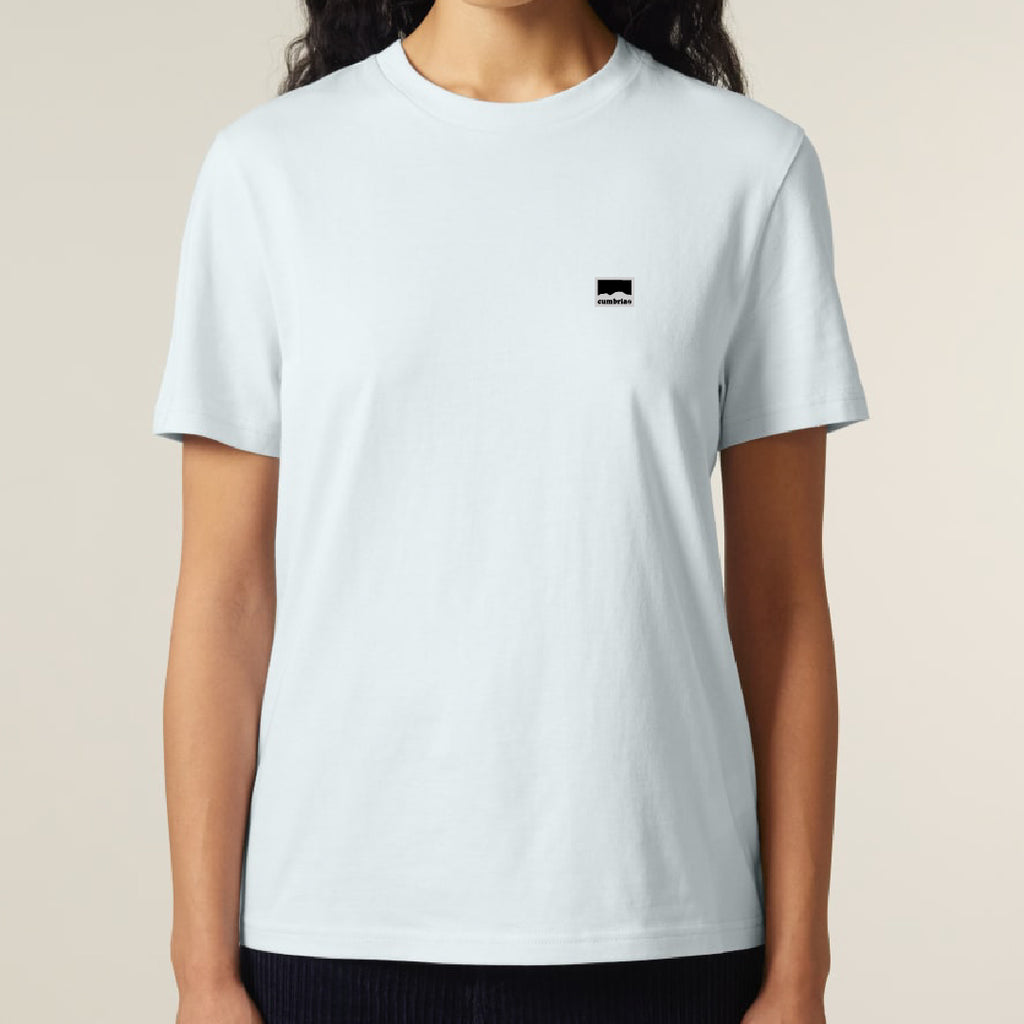 Blencathra GYOW  Tee - Blue Ice