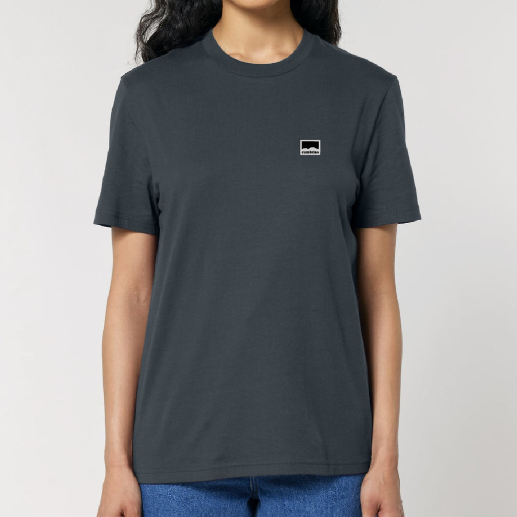 Blencathra GYOW  Tee - Indian Ink