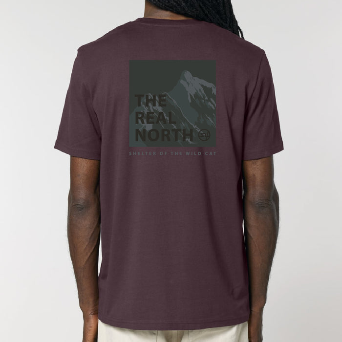 Catbells Tee - Red Brown