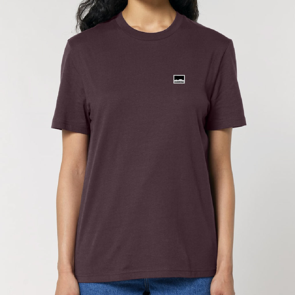 Skiddaw Topography Tee - Red Brown